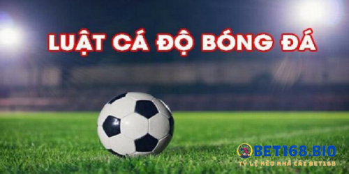du-thao-luat-ca-do-bong-da-2