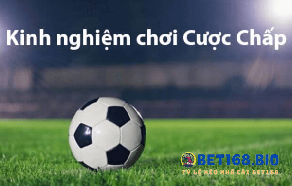 meo-choi-cuoc-chap-1