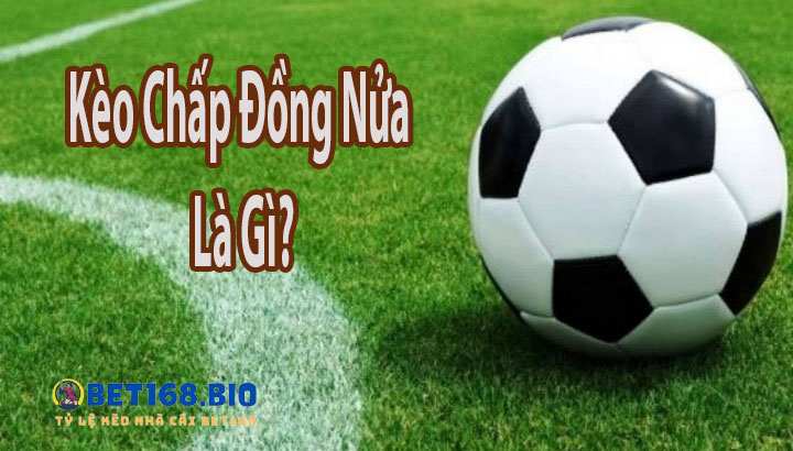 keo-chap-dong-nua-la-gi