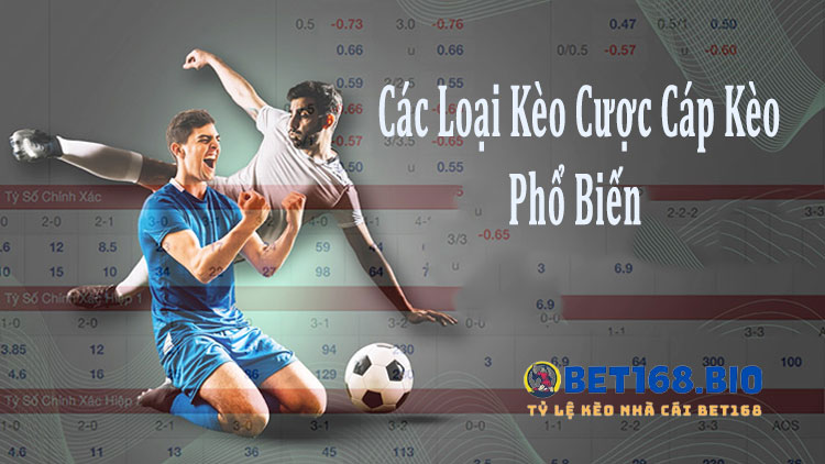 cac-loai-keo-cuoc-pho-bien