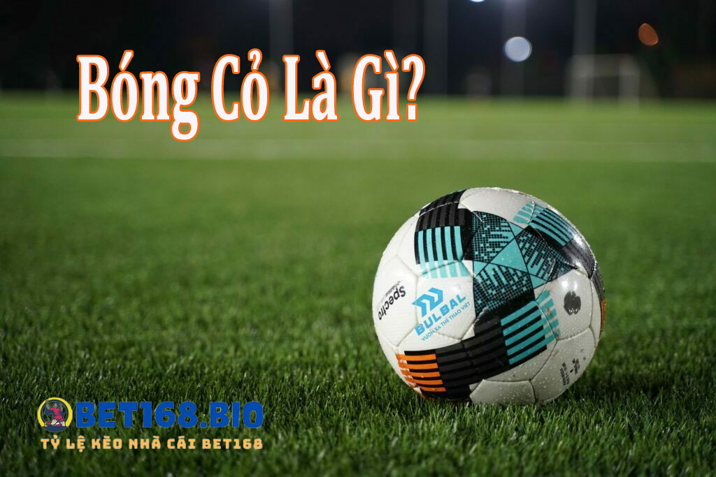 bong-co-la-gi