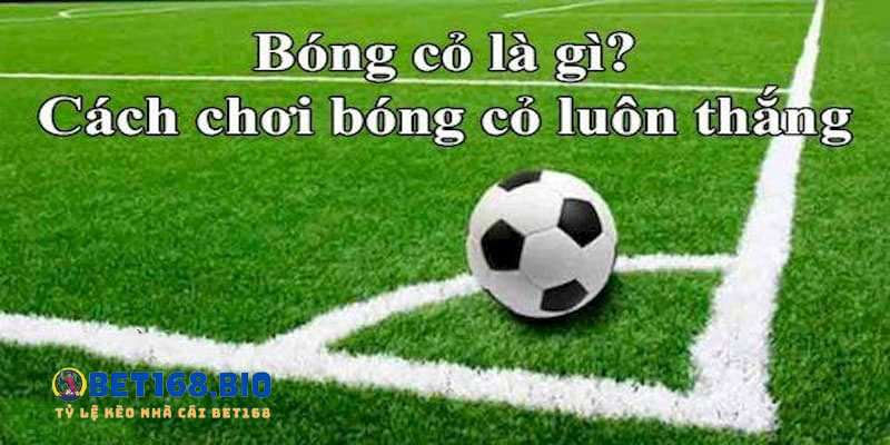 kinh-nghiem-choi-bong-co-luon-thang