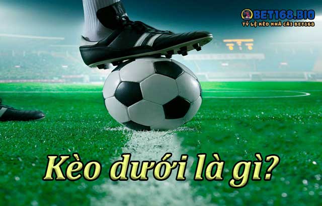 tim-hieu-sau-ve-keo-duoi-tai-bet168