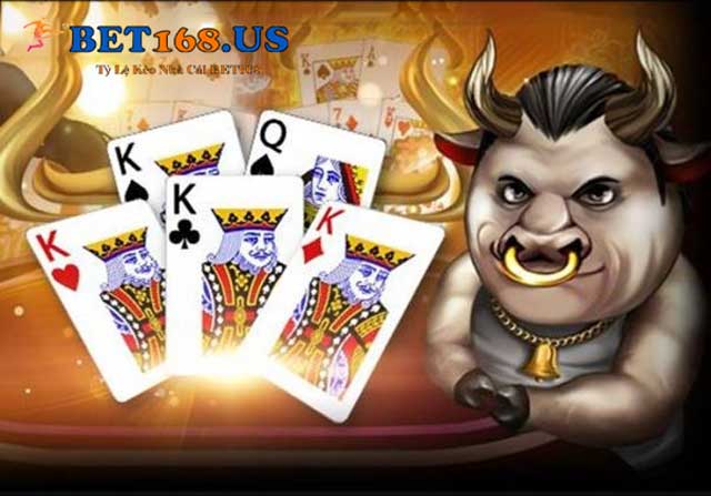 Tìm hiểu Bull bull là gì?