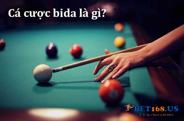 Tìm hiểu về cá cược bida